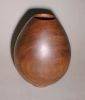 walnut_hollow